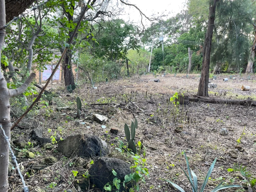 Terreno en venta en Cajititlan
